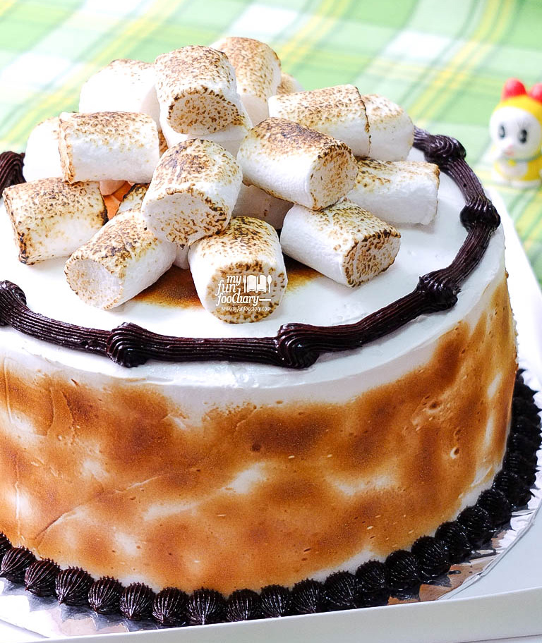 S'mores Cake Full Preview