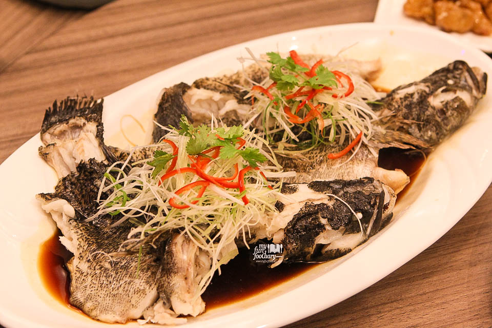 Steamed Marble Goby with Supreme Soya Sauce