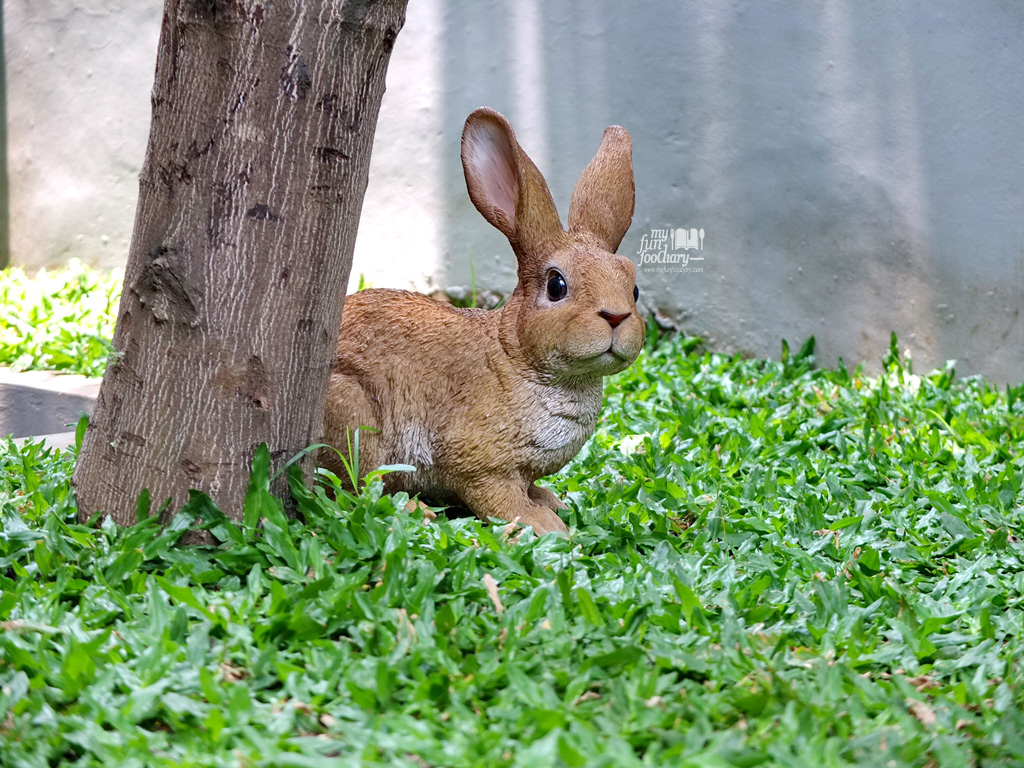 Cute Rabbit at Two Cents Coffee  - by Myfunfoodiary