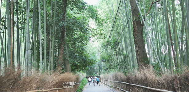 [JAPAN] Refreshing Walk at Arashiyama Bamboo Grove in Kyoto, Japan