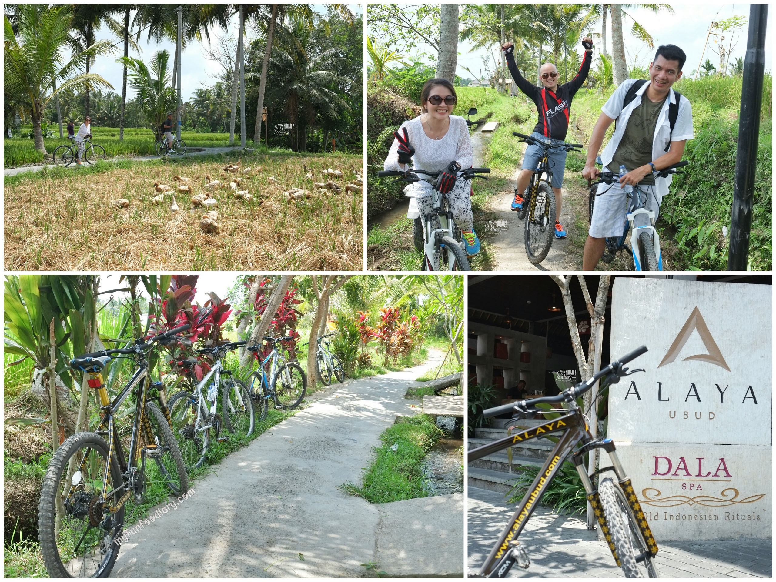 Cycling Moments Around Ubud by Myfunfoodiary