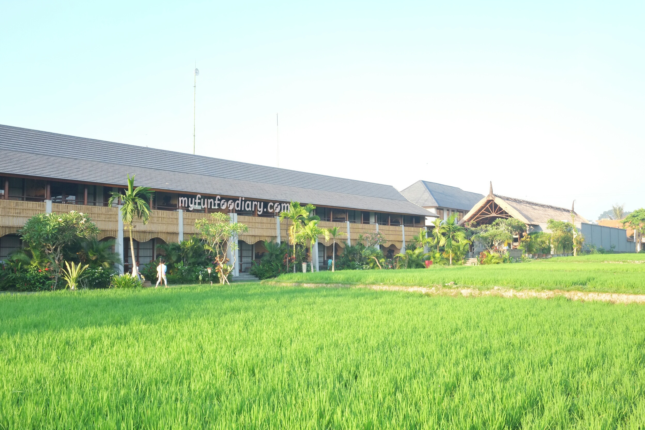 View From The Paddy Field to Alaya Resort Ubud by Myfunfoodiary