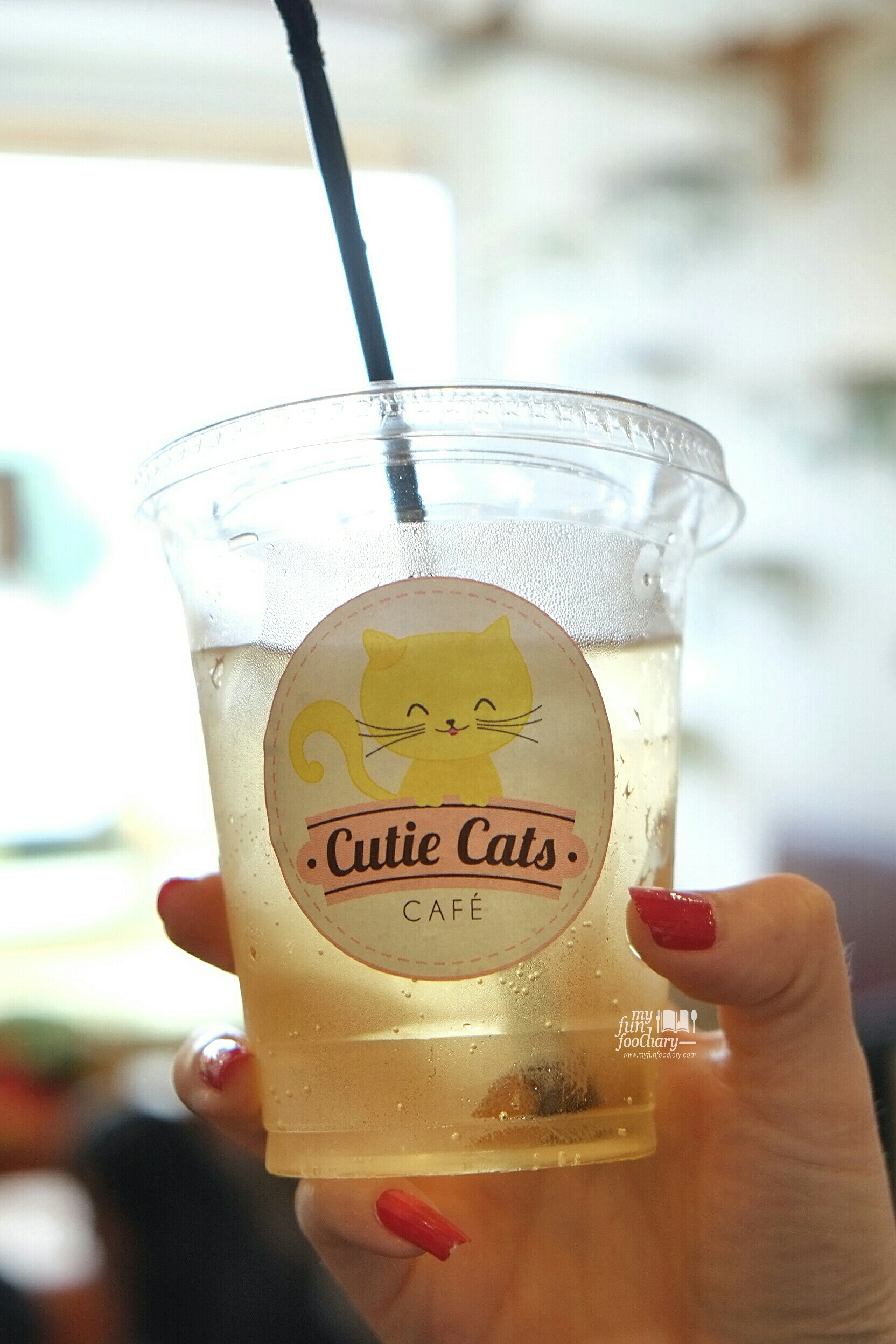 Apple Sparkler at Cutie Cats Cafe by Myfunfoodiary