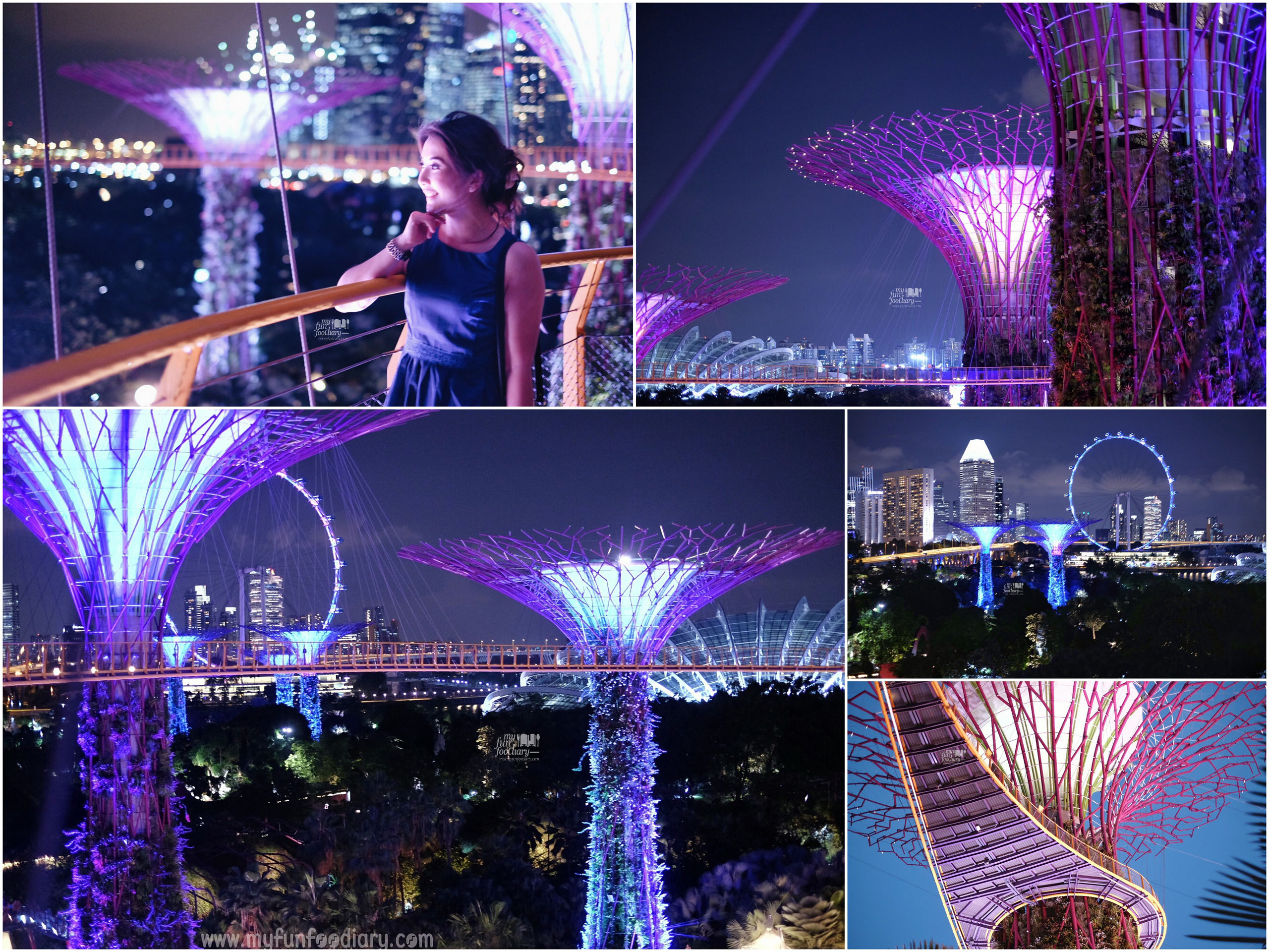 Experience OCBC Skywalk at Gardens By The Bay by Myfunfoodiary