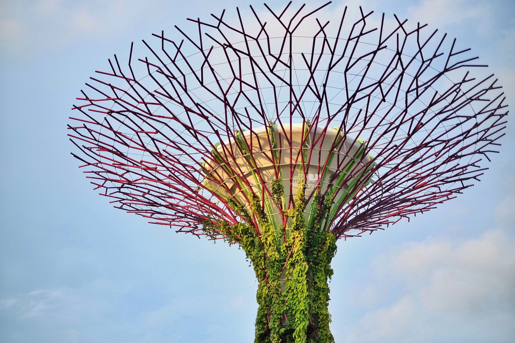 The Superdome Tree at Gardens By The Bay by Myfunfoodiary
