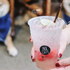 [THAILAND] Shiba Inu Dogs for Dogs Lover at Inu Cafe, Hua Hin