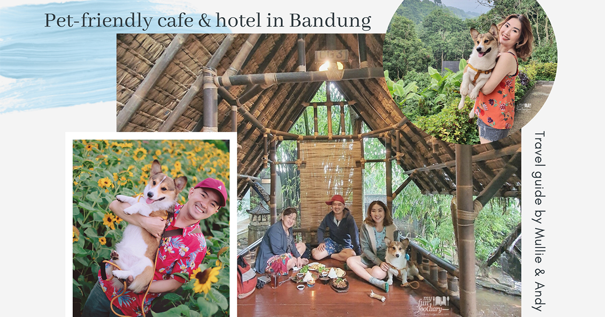 Bandung Pet Friendly Hotels | myfunfoodiary.com