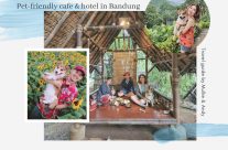 [PET FRIENDLY] Bandung Hotel & Cafe Hopping with your Dog