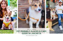 10 Best Dog Friendly Cafe in Jakarta