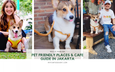 10 Best Dog Friendly Cafe in Jakarta